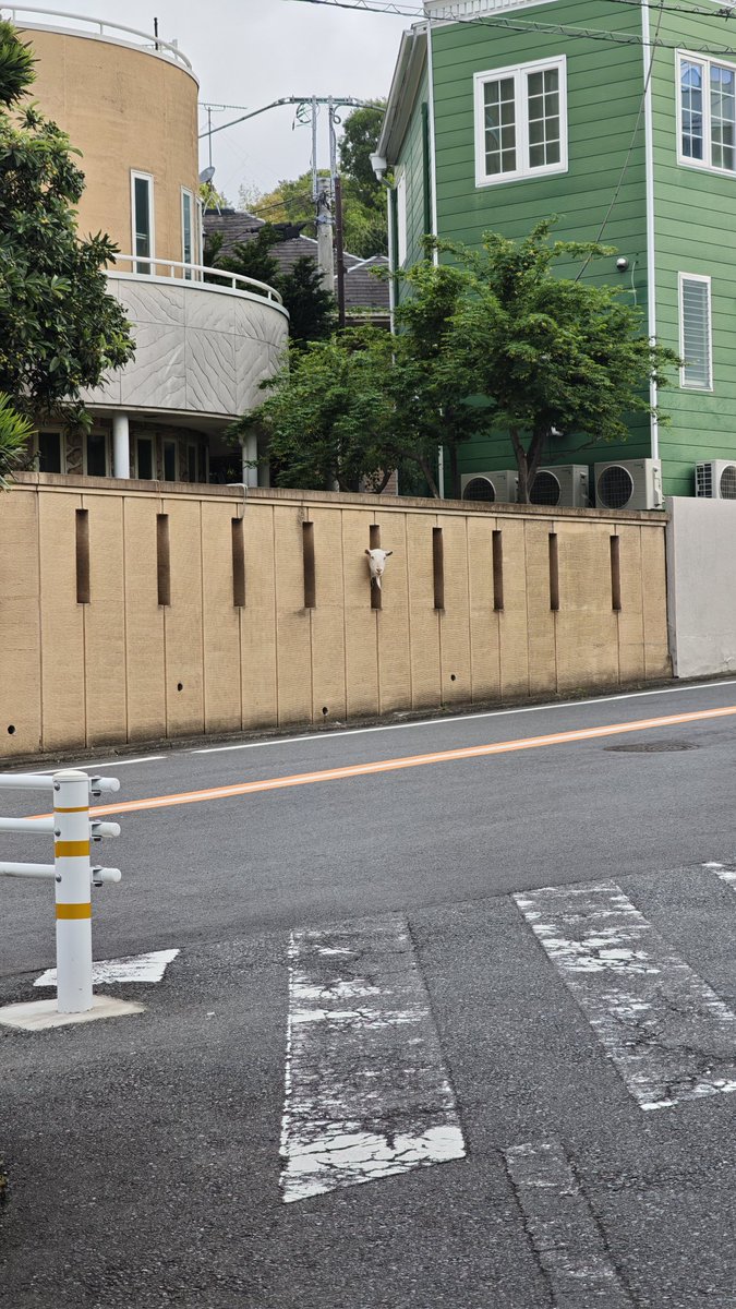 みみ tweet media