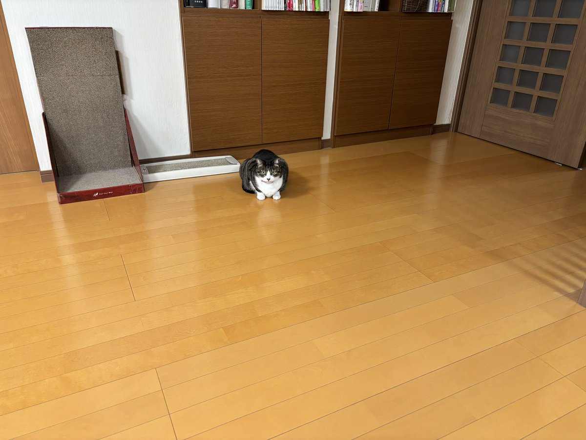 みふゆ(三冬) tweet media