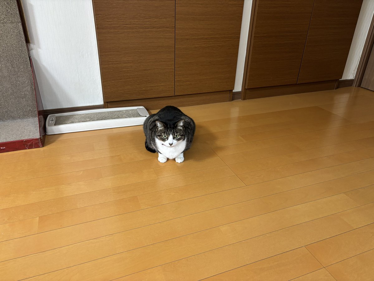 みふゆ(三冬) tweet media