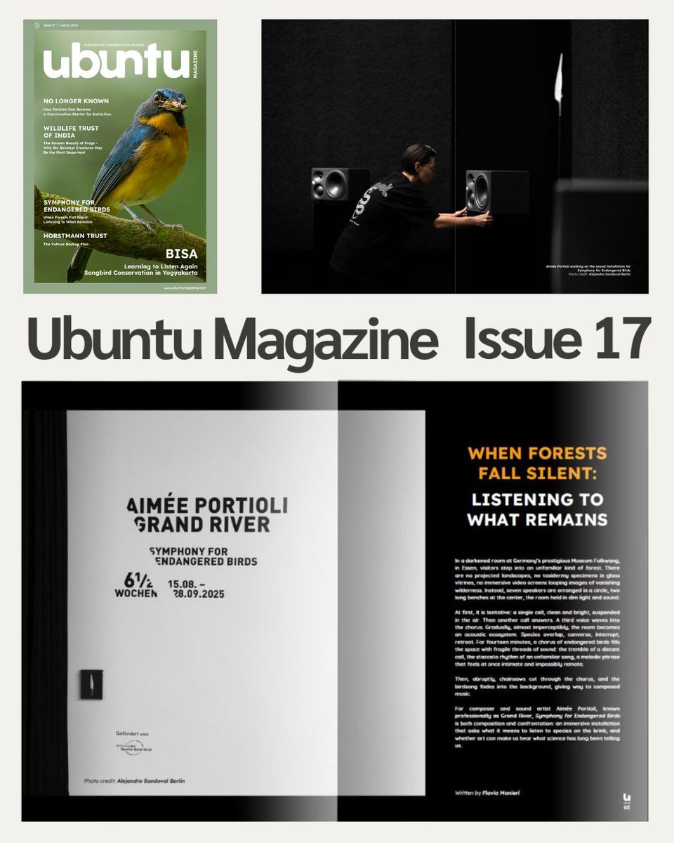 KlangSignals's tweet photo. New interview with Aimée Portioli (aka Grand River) in Ubuntu Magazine 🌿She discusses sound design, sonic ecology &amp; her “Symphony for Endangered Birds” installaion 🔊🪶Thanks Flavia &amp; Manon at Ubuntu https://t.co/Tp4FQQcfva https://t.co/ti9yPDwn3A
