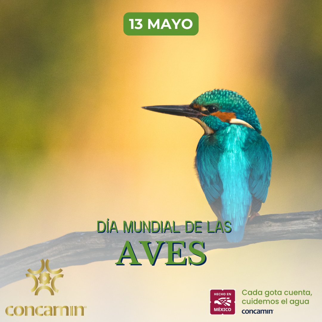 CONCAMIN tweet media