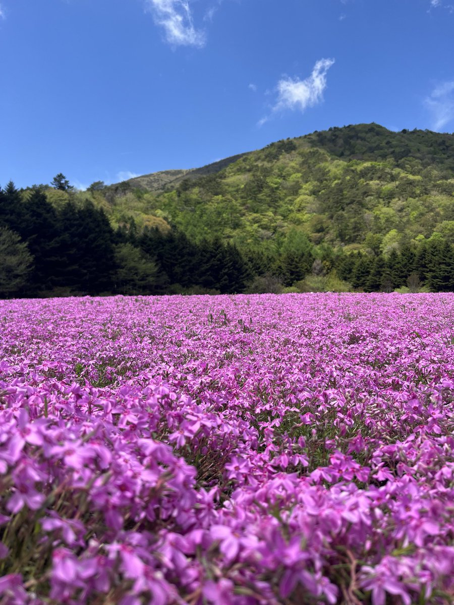 GWの思い出