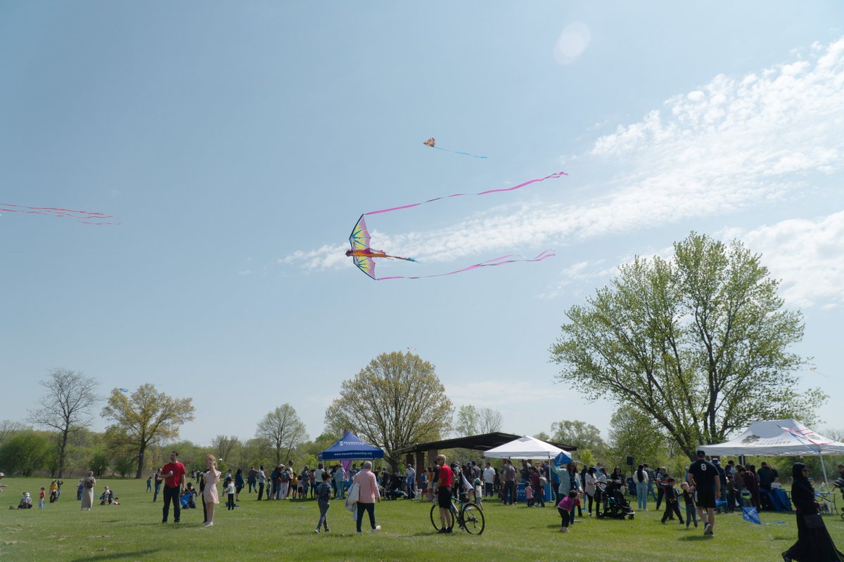 Forest Preserves tweet media