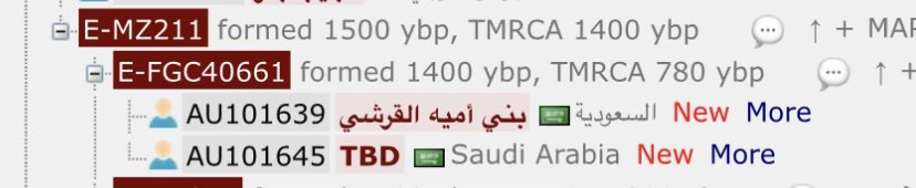 العربي tweet media