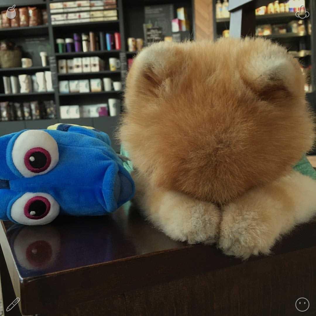 clonips's tweet photo. Cleaning a child's room often involves dealing with an abundance of playthings. https://t.co/sAkBhJnRlx