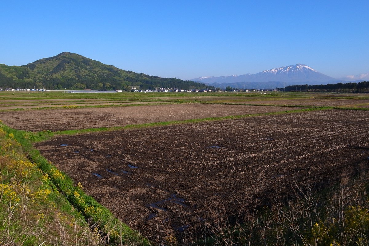 JollyRogers_88's tweet photo. 今日の盛岡市、見事な快晴~お出かけ日和
歩道に除草剤散布のお爺ちゃん、お疲れ様
#RICOH #GRDIGITALIII https://t.co/mICcblzOoG