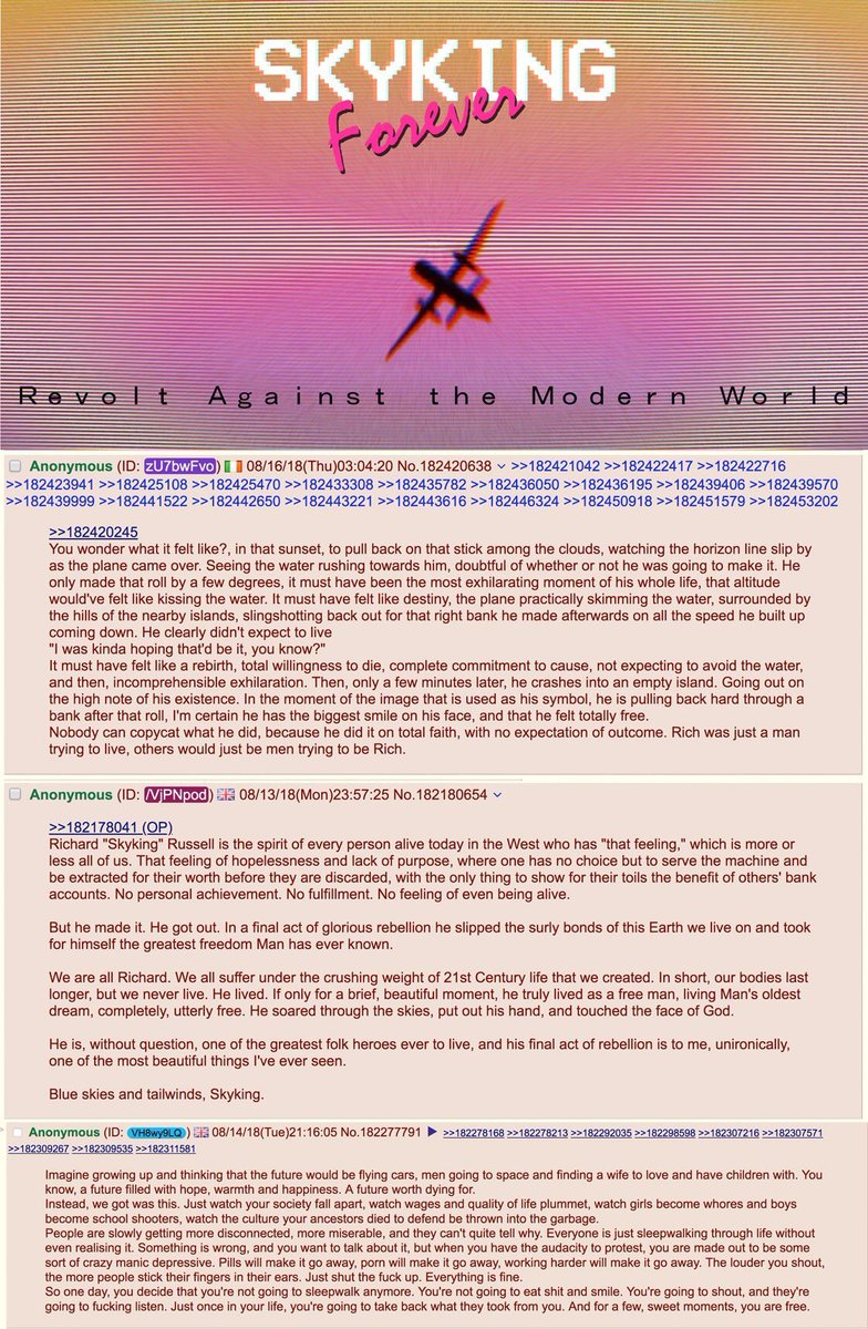 <a href="/BannedVids/">Banned Vids</a> “I think I’m gonna try to do a barrel roll, and if that goes good . . . nose down and call it a night.”  

And into that good night, you did go. 
See you on the other side, Sky King.
