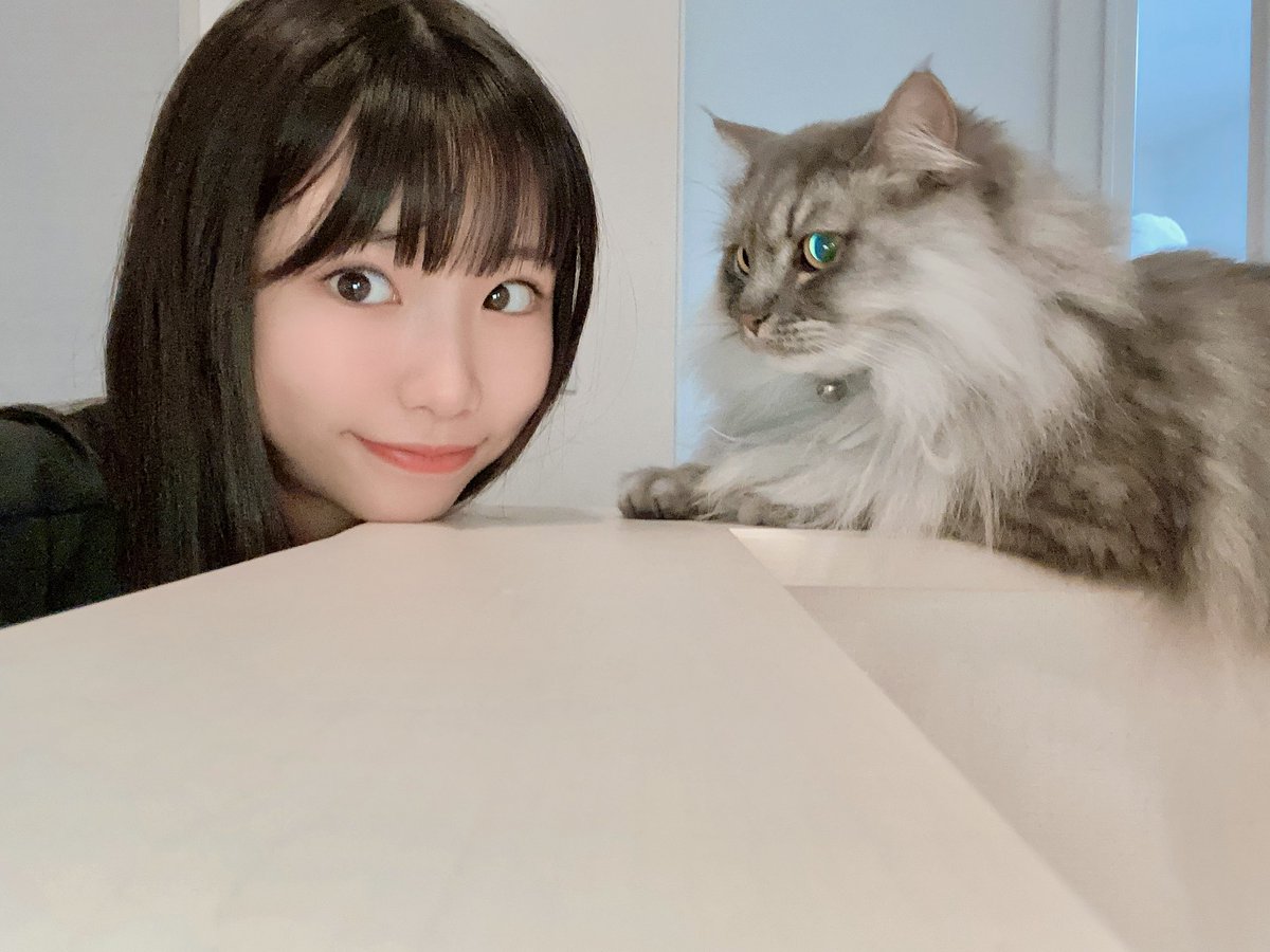おはゆずにゃん🐈☁️ 今日はLovelysさん、MERUCHUさんのライブがある