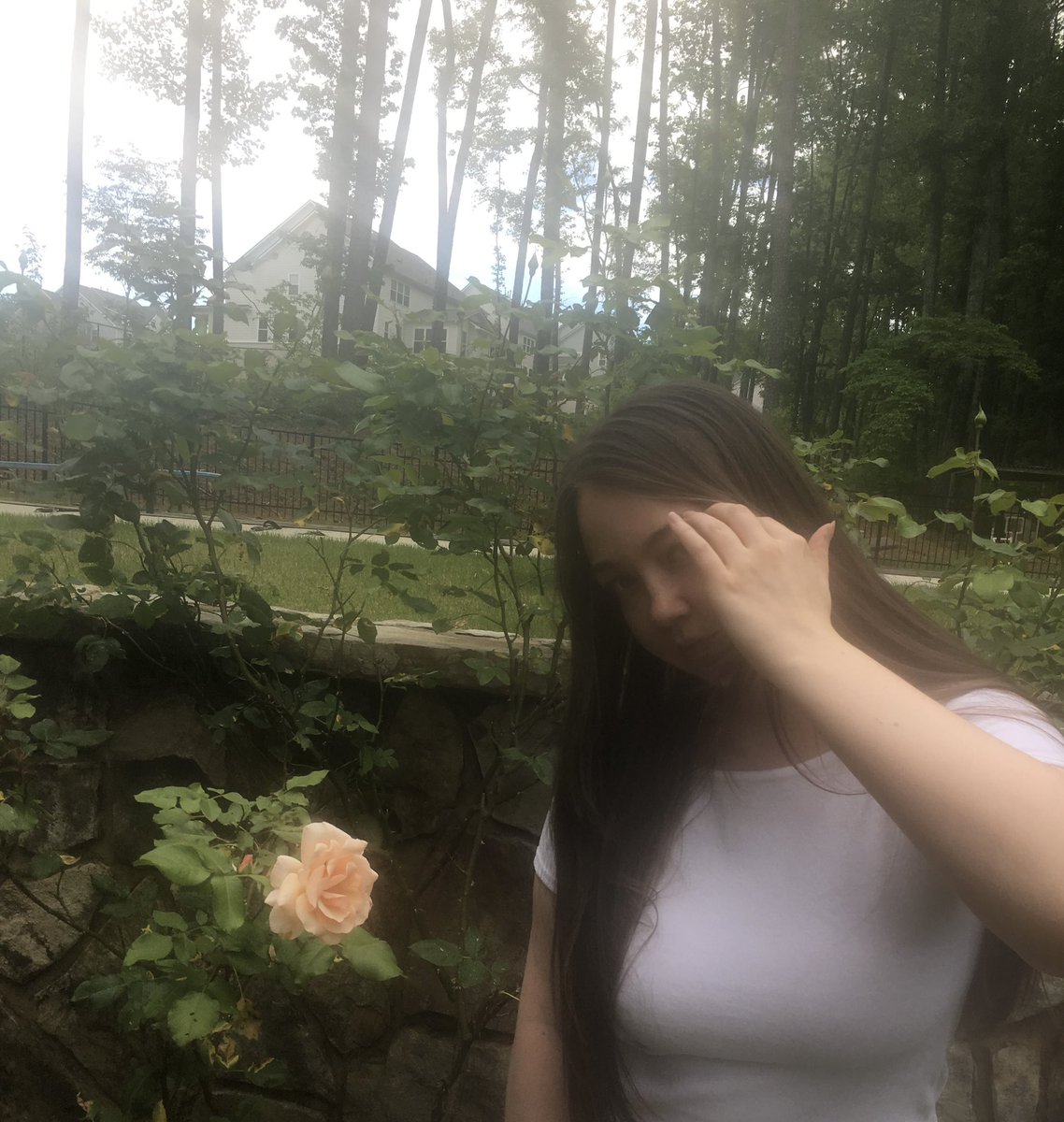 madison tweet media