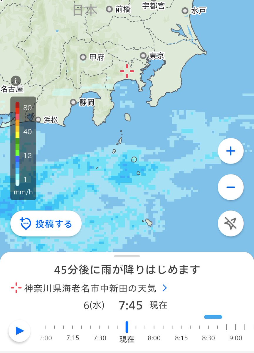 miyappp（宮益道玄） tweet media