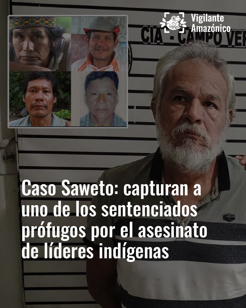 Vigilante Amazónico tweet media