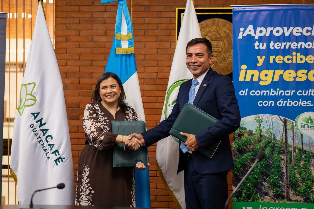 CafedeGuatemala's tweet photo. Anacafé y el @inabguatemala  firmaron hoy un memorando de cooperación que fortalece la gestión sostenible de los bosques y los sistemas agroforestales vinculados a la caficultura guatemalteca.

El acuerdo establece un marco de trabajo conjunto para impulsar la restauración del paisaje cafetalero, la resiliencia climática y el acceso a incentivos y financiamiento para el sector.

Desde Anacafé, reiteramos nuestro compromiso de comunicar y ejecutar las acciones derivadas de este acuerdo desde nuestro ámbito institucional, respetando la autonomía de cada entidad y sin emitir posturas en nombre del INAB. ☕🌱

#Anacafé #CaféDeGuatemala #Sostenibilidad #SectorCafetalero #INAB #Alianzas