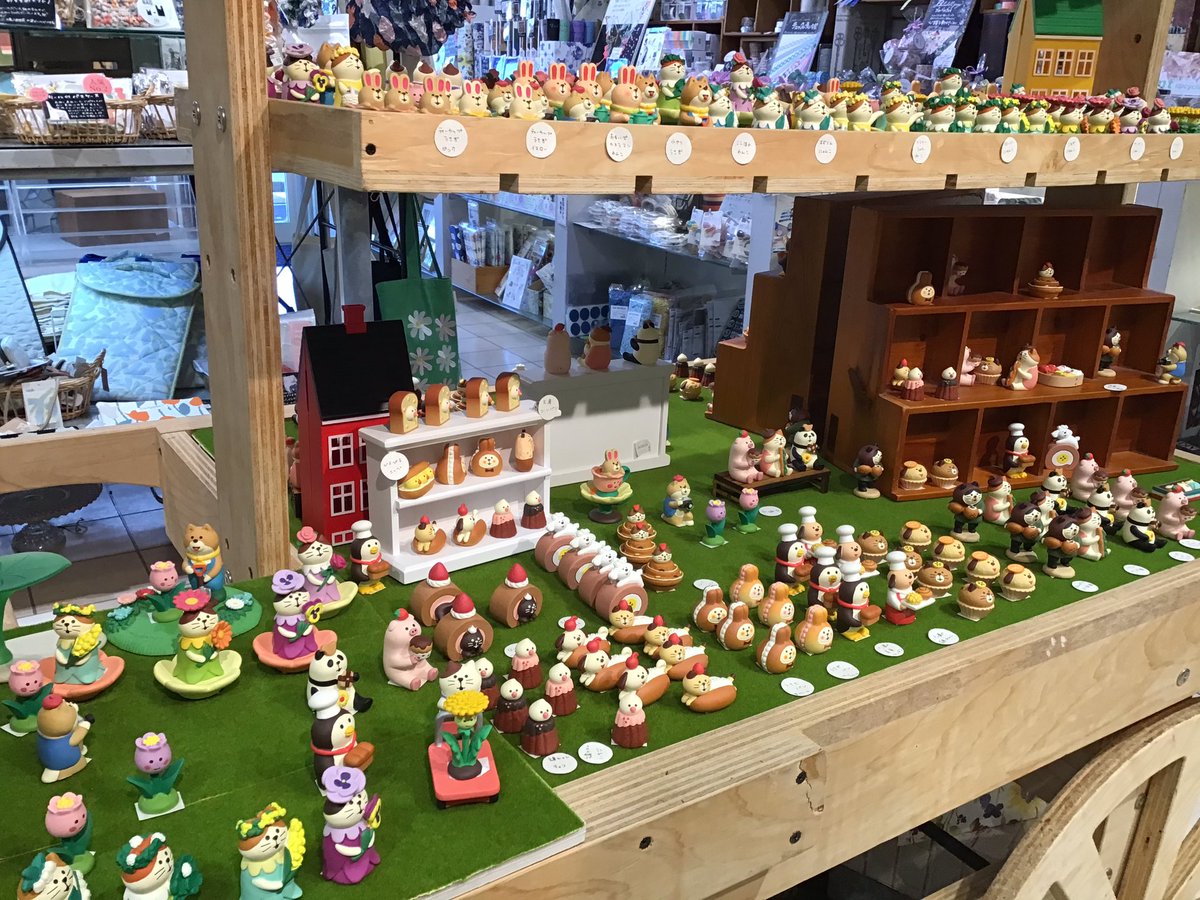 こんにちは🌼 只今イノブン四条本店4階では沢山のconcombre
