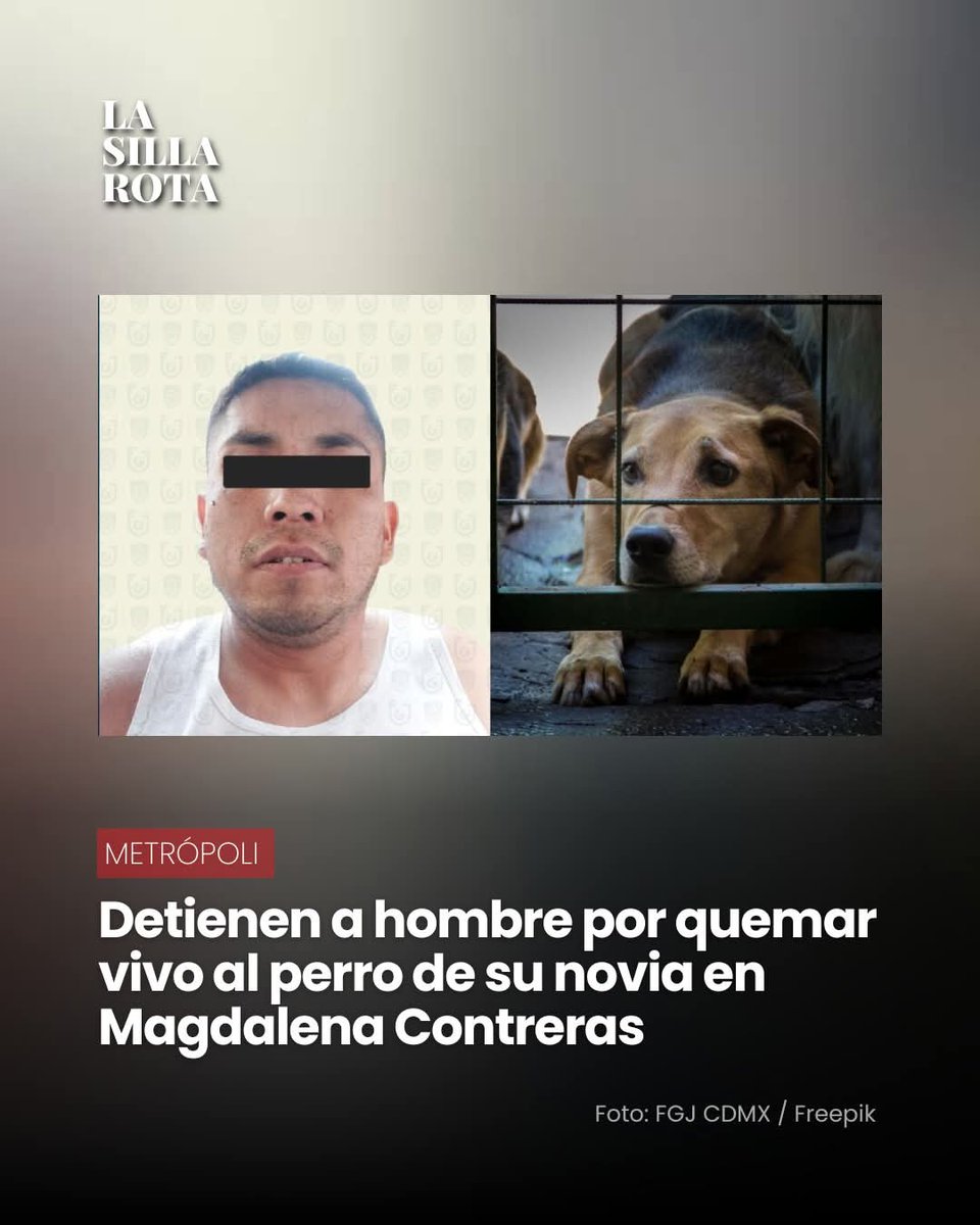 La silla rota publicó

Después de dos años de su crimen, Aldo “N” fue detenido por as3sinar a un perro, al que roció con gasolina y le prendió fuego, el pasado 26 de noviembre de 2024, en la alcaldía Magdalena Contreras.