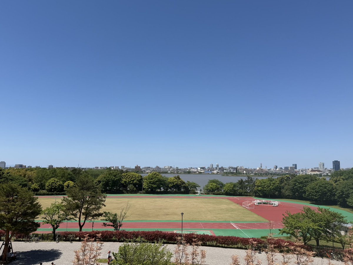 グリフォン tweet media