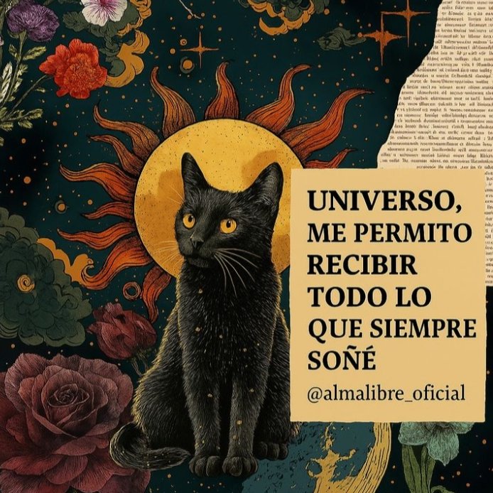 moony | agenda abierta 🇦🇷 tweet media