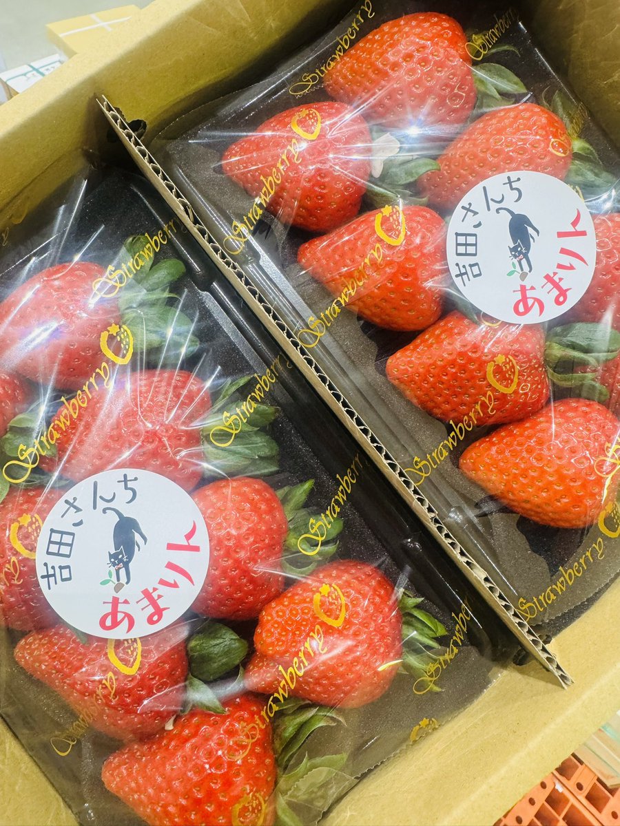 すごいな… 毎年この時期でもこの味を出してくるんだ…🍓 5月なのにまだ