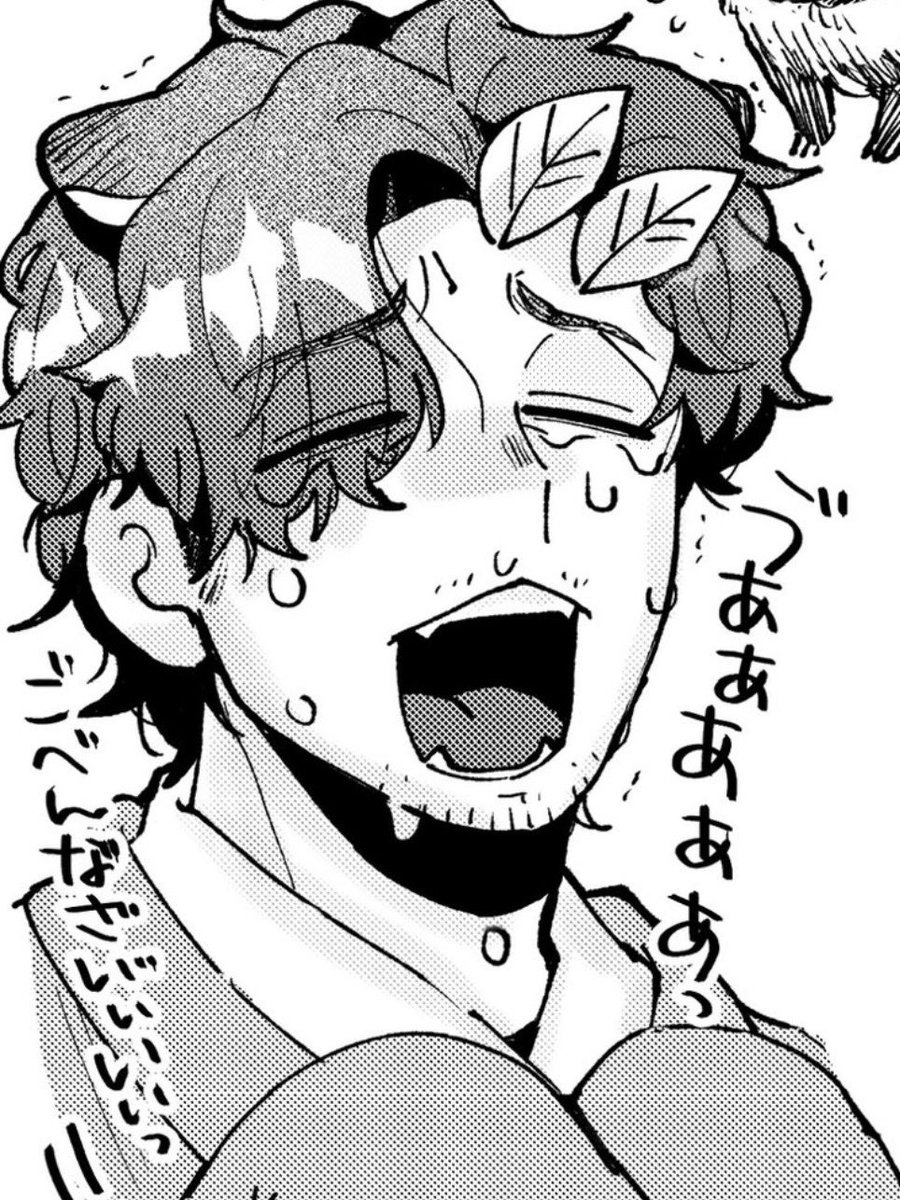 梅茶🍵一次 tweet media