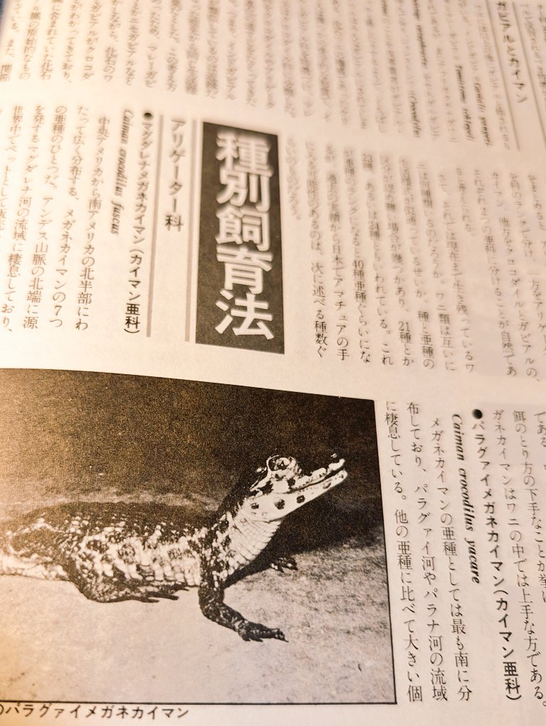 Exotic Pet retro future tweet media