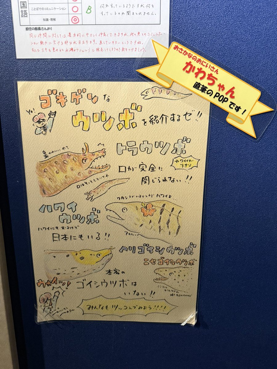 かわちゃん / KAWACH (@kawatyan2525) / Posts / X