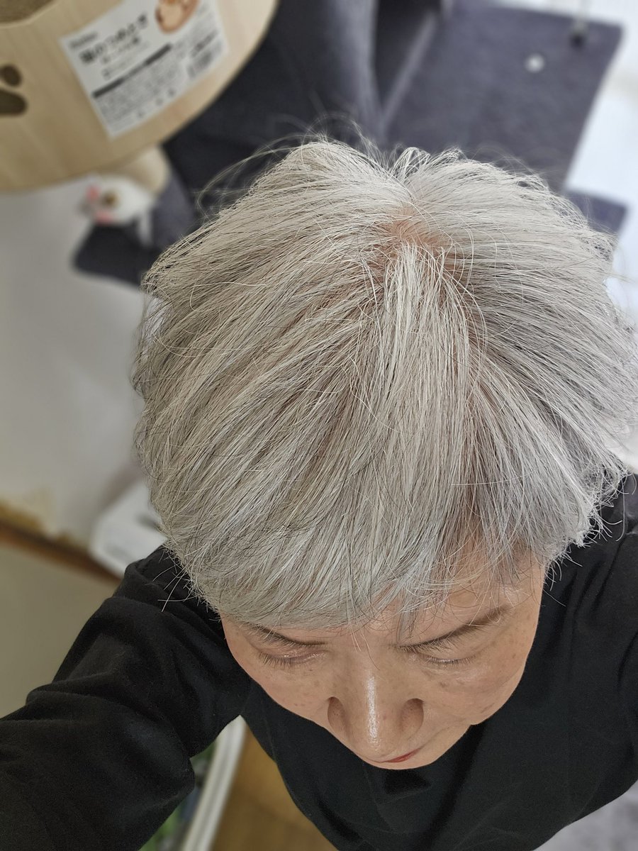 powerfulkeiko's tweet photo. 自分で髪切った
はらはらと粉雪みたいに儚げに落ちていく、、、、
白髪は綺麗だ
#自分で髪切った
#自分でカット
#ショートヘア
#パワフルけいこ https://t.co/9EKrvx63Fv