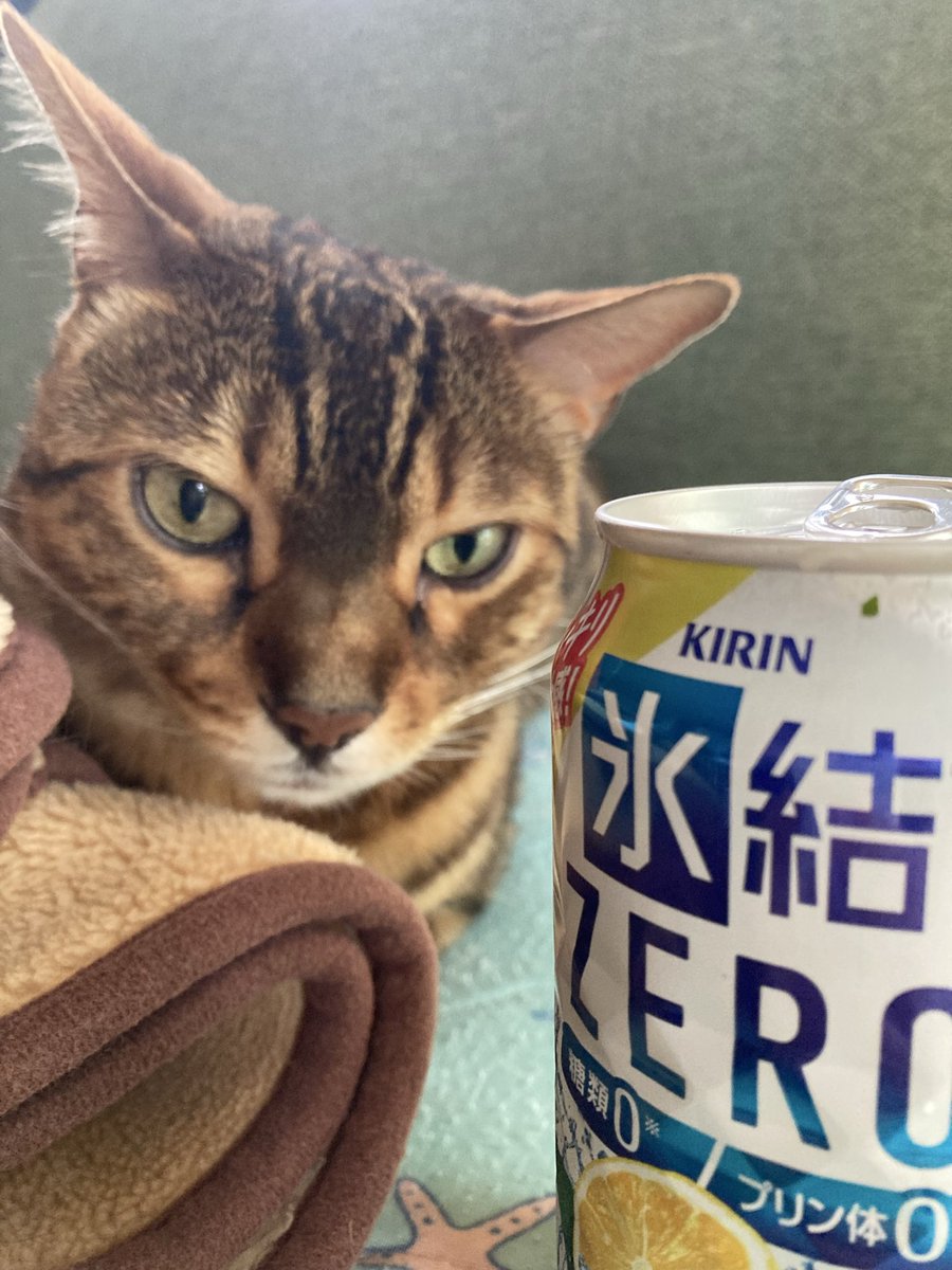 まつこ tweet media