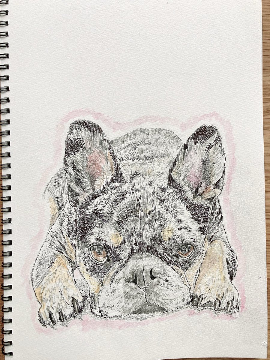 池田犬 Post by 体重と身長は池田エライザ（落書き） on X: 犬描いた