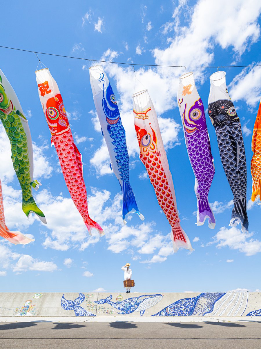 yuyar33's tweet photo. 宮城県のよがさきおはじきアートと鯉のぼりを撮りました🎏🐳

#tokyocameraclub https://t.co/75demJzZfs