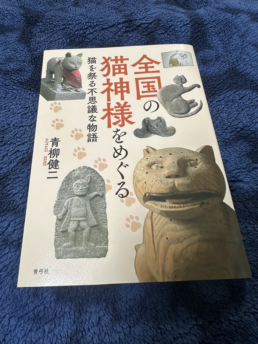 吉田猛々🧄（よしだもうもう・ナナフシギ） tweet media