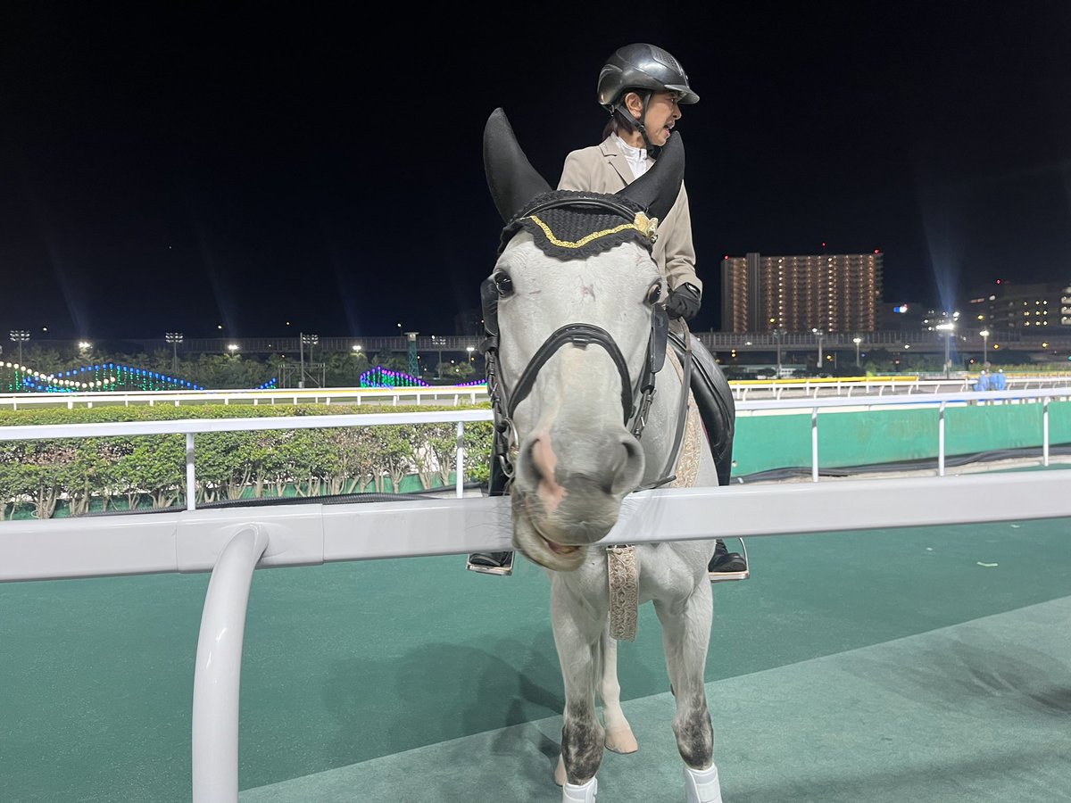 tinapi_09's tweet photo. 船橋競馬場 お邪魔しました🥹🤍
周りの競馬ファンの方が優しく
入場前入場後もありがとうございました！
とても充実してて楽しい1日でした！！
かしわ記念 山下智久 アンバサダー記念🐎🏅
素敵なご縁に大感謝です🤝🏻

#山下智久 #かわし記念 #船橋競馬場 https://t.co/1DqYfQRT0M