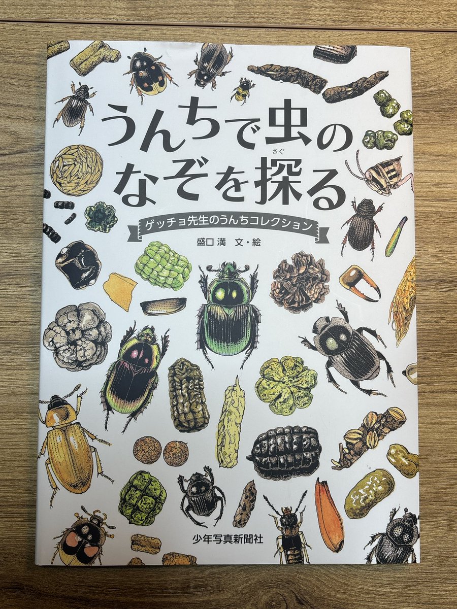 みやざきみちよ tweet media
