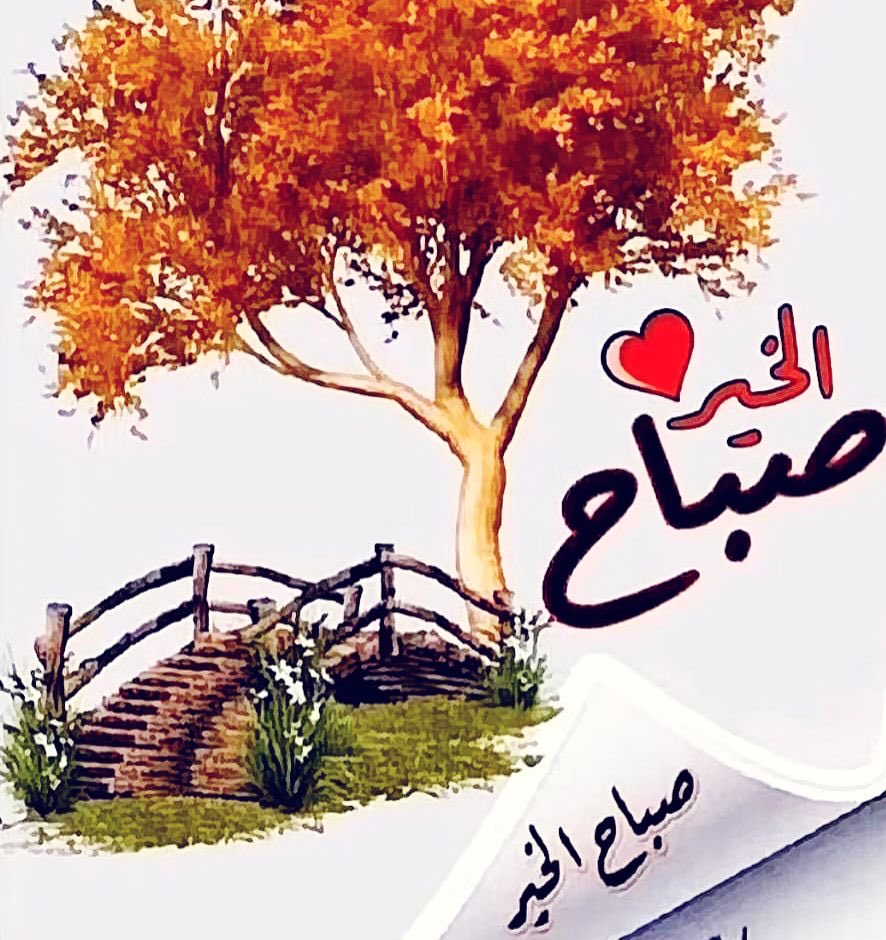 Ali..Alyami tweet media