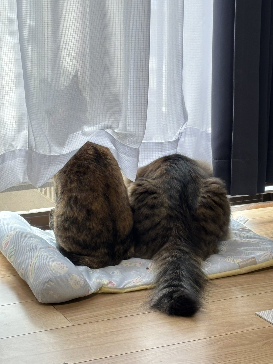 お休み終わりだよ

もう終わりだ