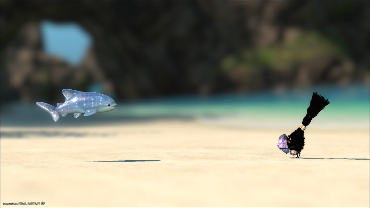 🏝リデレ🏝 tweet media