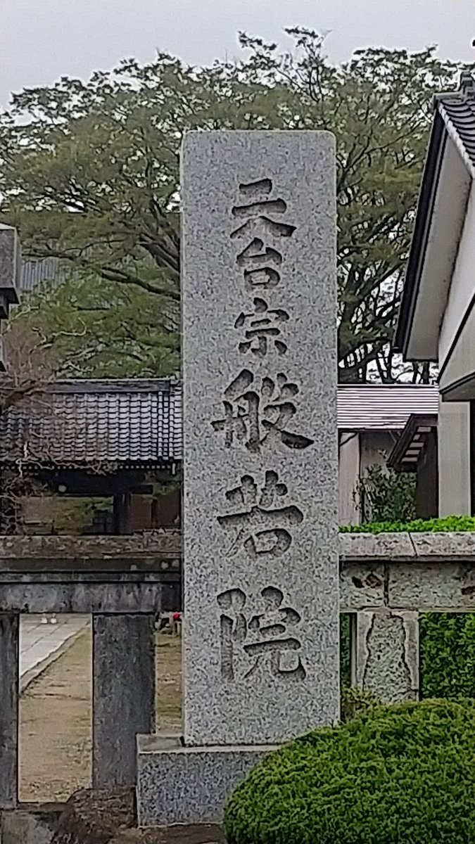 ペルーゴ tweet media