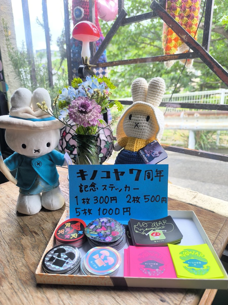 キノコヤ🎥🍄 tweet media