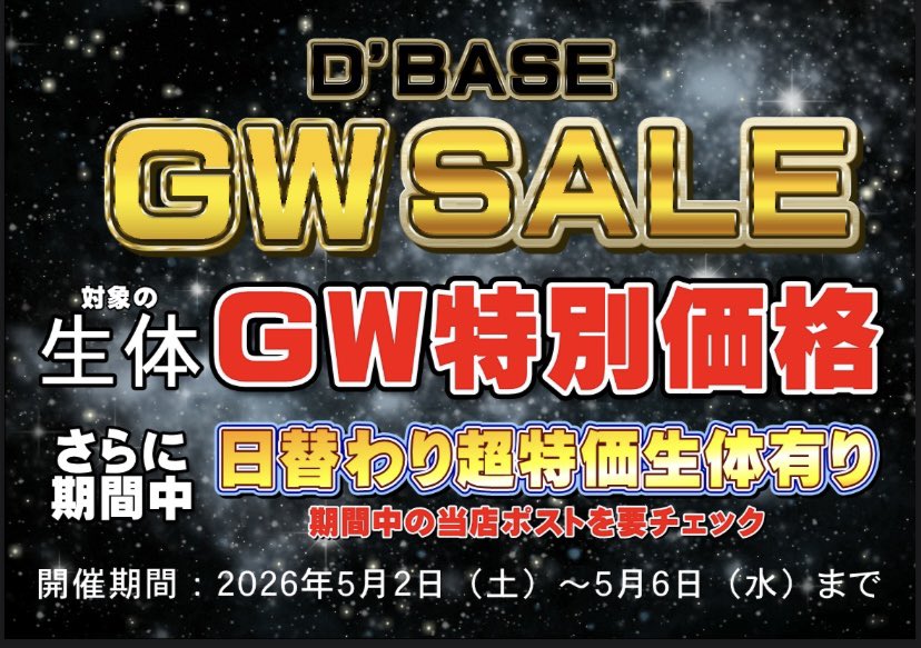 カブトムシ・クワガタ専門店D'BASE tweet media