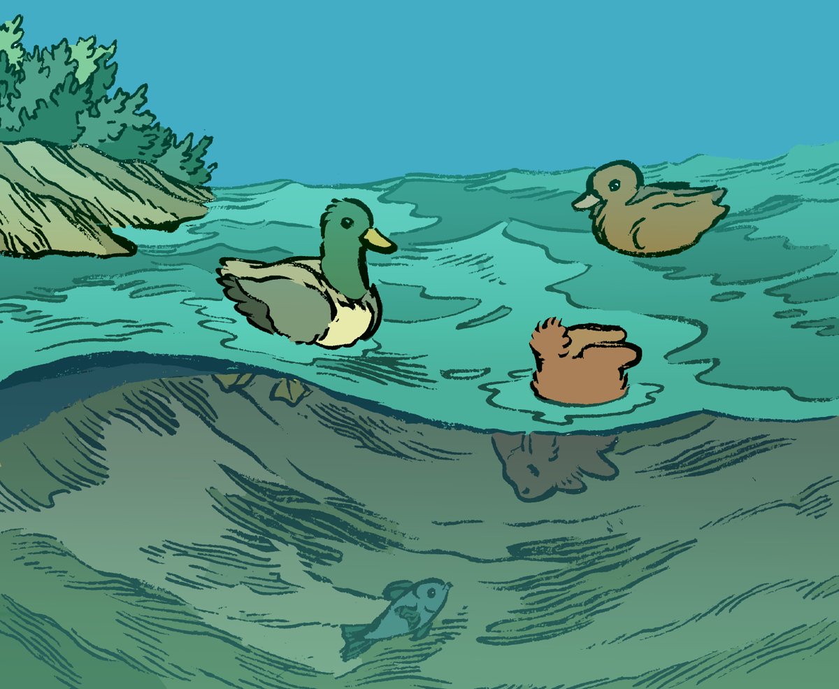 Daily bunny no.3310 is just dabbling