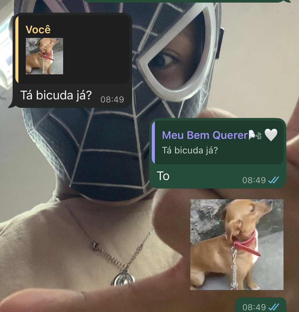 ruindade pura tweet media
