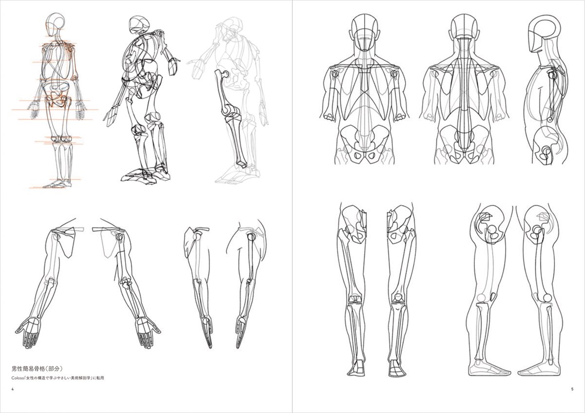 anatomy tutorials tweet media