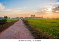 Kh Sifat tweet media