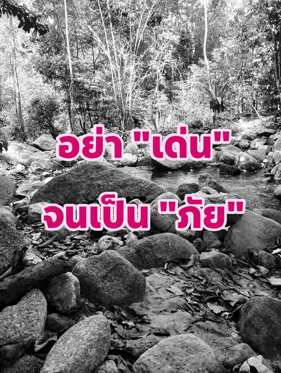 Nutt tweet media