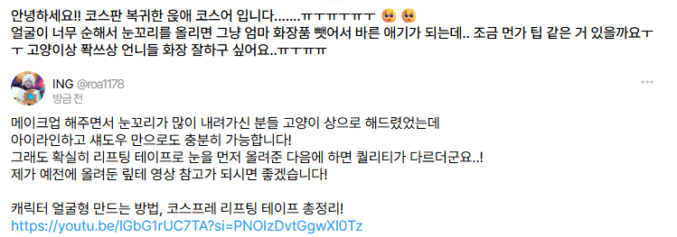 ING 메이크업 tweet media
