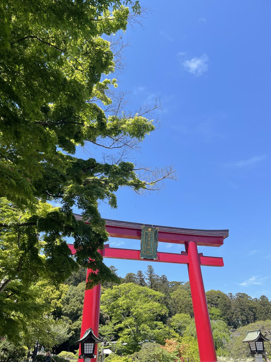 toyoseason's tweet photo. ぶらり⛩

いいお天気☀️☀️.°
五月晴れ https://t.co/44tdROQ3AN