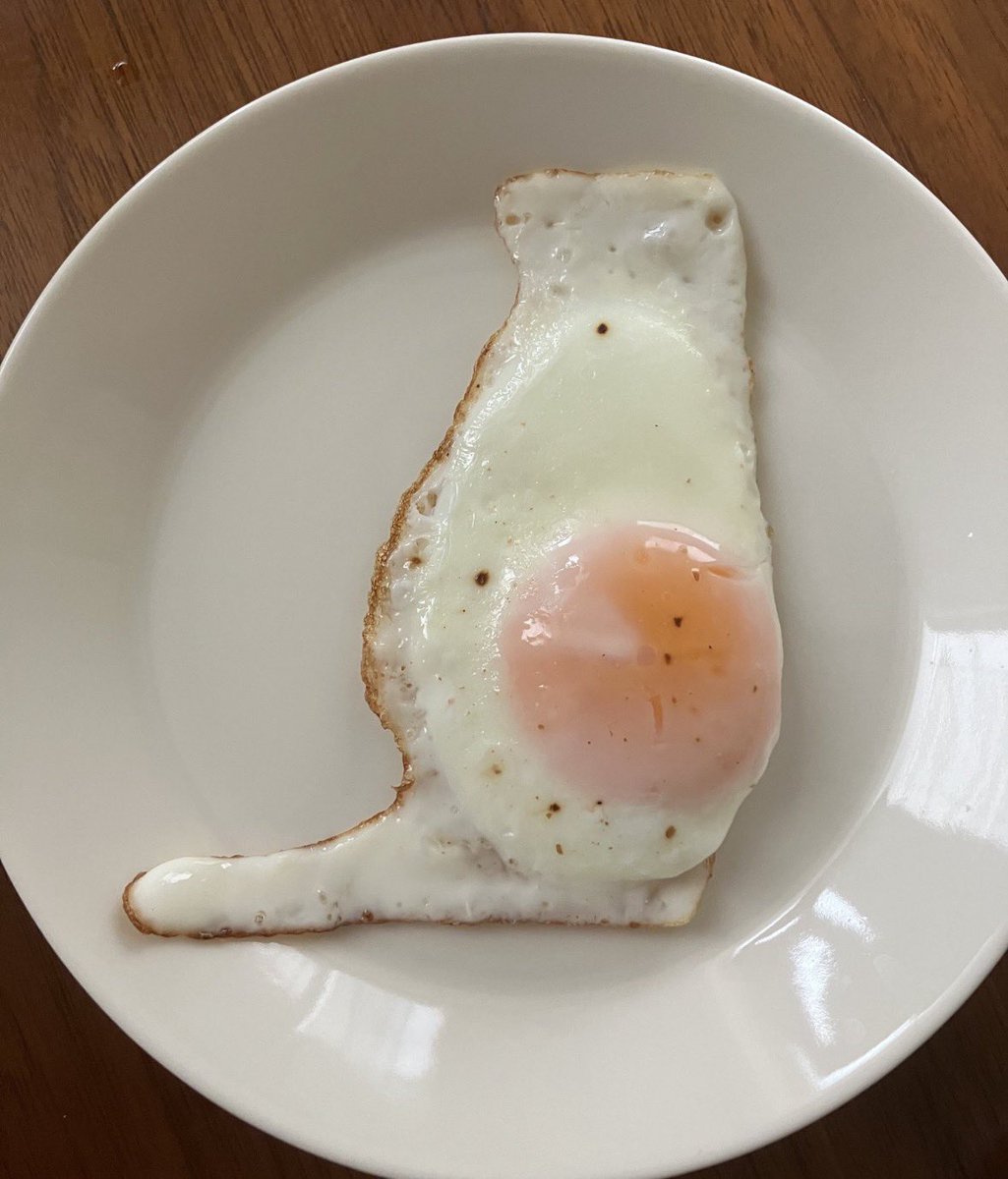 目玉焼き作ったらネコになった
