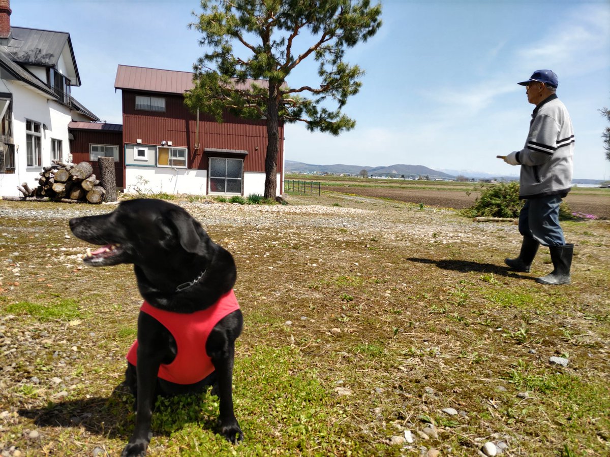 nomatter_p's tweet photo. ニコさんと爺さんです😊
剪定しました。 https://t.co/aTJdgtwbSs
