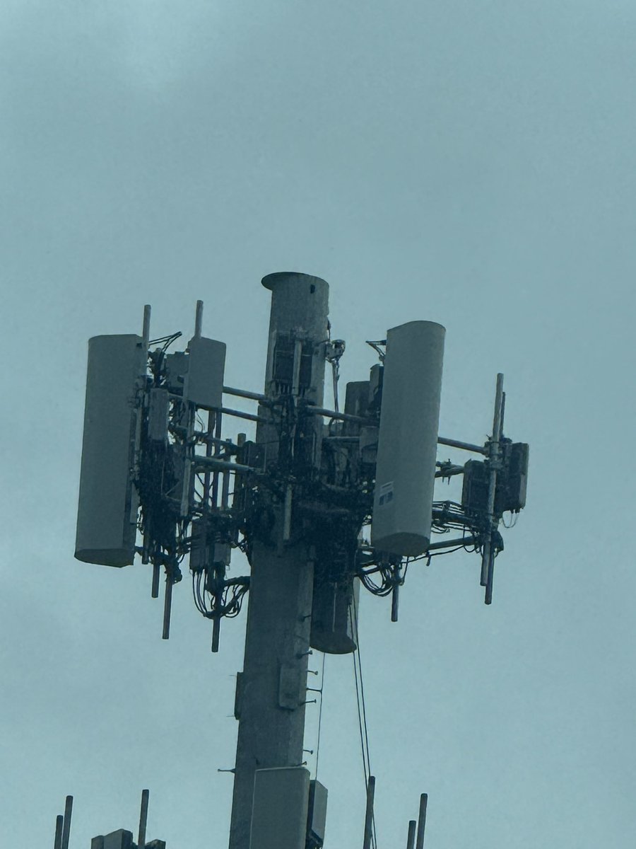 network ninja tweet media