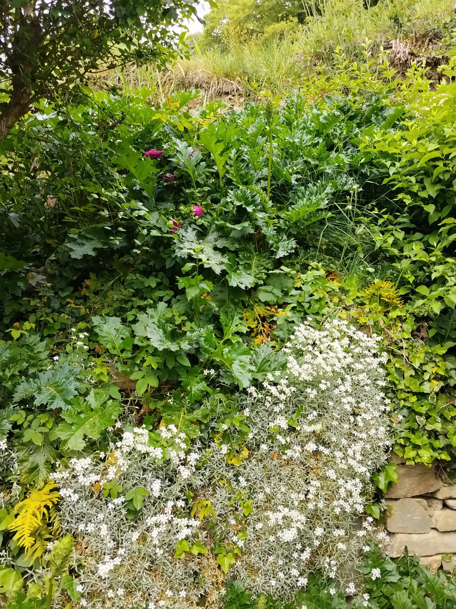 Bon dia , que bonica és la primavera 🌼💐🌹,
