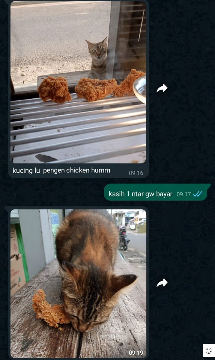 KOS (komunitas orang sinting ) tweet media