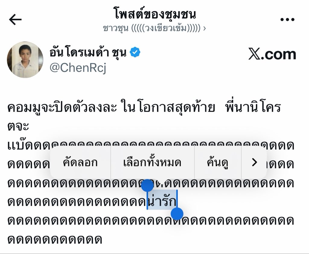 littleani tweet media
